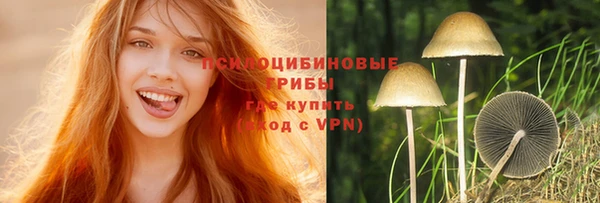 ешки Аркадак