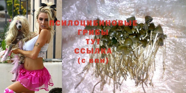не бодяженный Зеленокумск