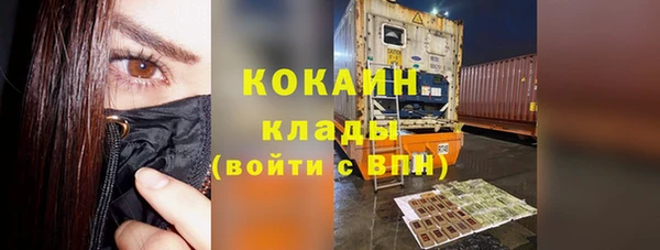 ешки Аркадак