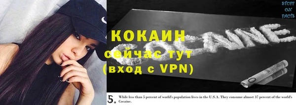 мет Арсеньев