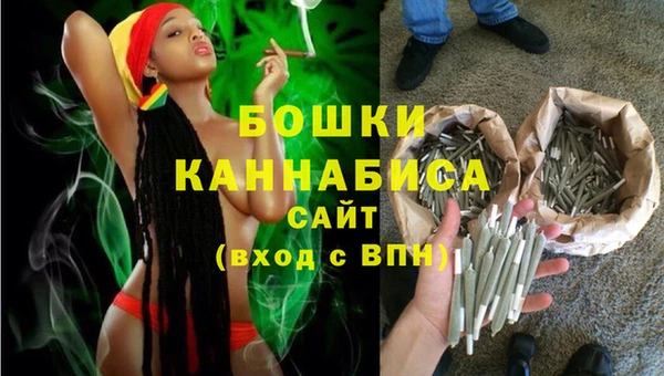 ешки Аркадак
