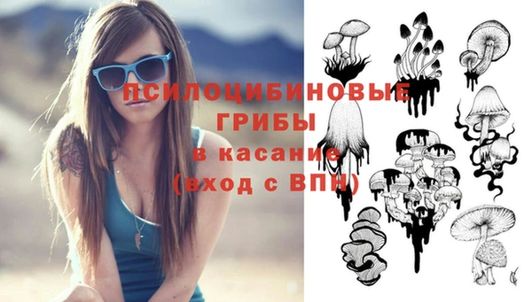 мет Арсеньев
