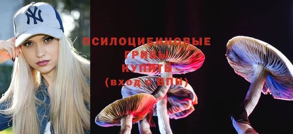 ешки Аркадак