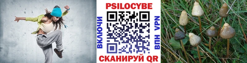 Галлюциногенные грибы прущие грибы  наркотики  Вяземский 
